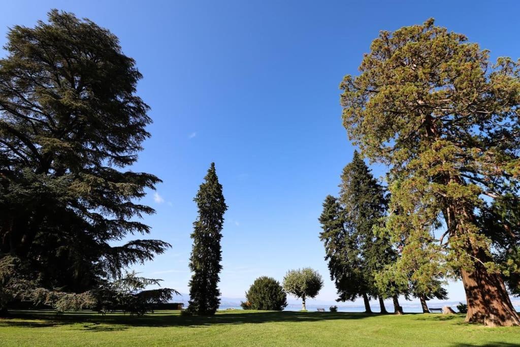 L'Escale Du Leman Apartment Publier Bagian luar foto
