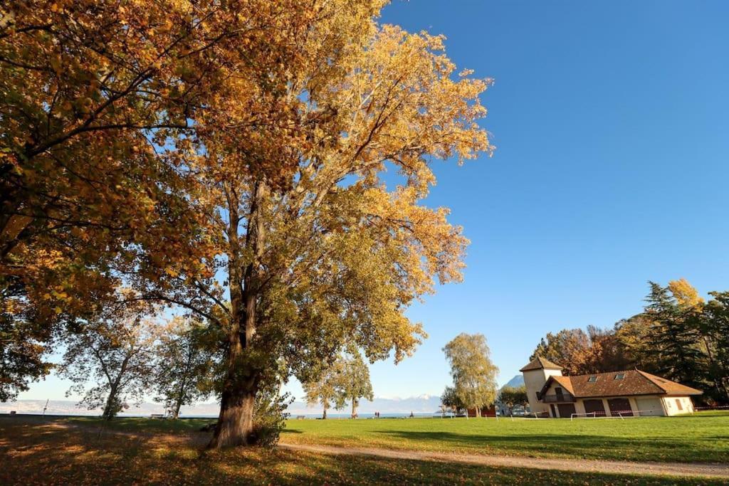 L'Escale Du Leman Apartment Publier Bagian luar foto