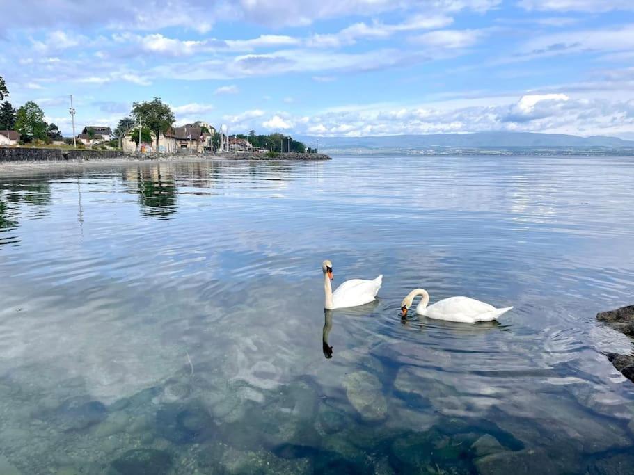L'Escale Du Leman Apartment Publier Bagian luar foto